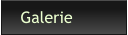 Galerie