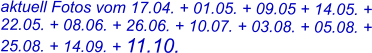 aktuell Fotos vom 17.04. + 01.05. + 09.05 + 14.05. + 22.05. + 08.06. + 26.06. + 10.07. + 03.08. + 05.08. + 25.08. + 14.09. + 11.10.